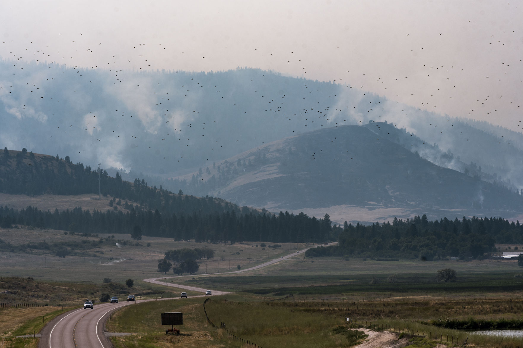 Smoke on the horizon
